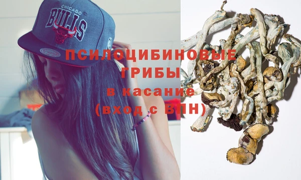spice Абаза
