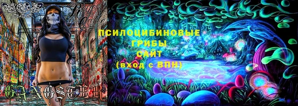 spice Абаза