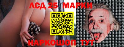 mdpv Славгород