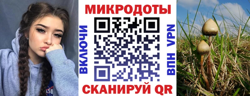 где можно купить   kraken рабочий сайт  Псилоцибиновые грибы Magic Shrooms  Рассказово 