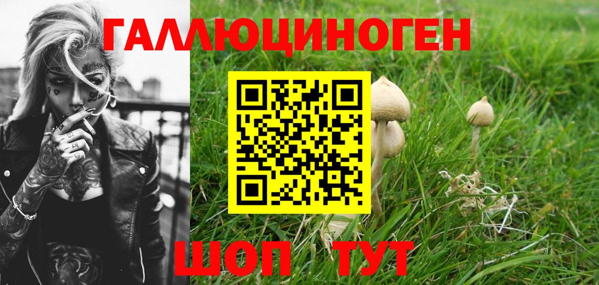 Псилоцибиновые грибы Psilocybe  Вход с VPN  Псилоцибиновые грибы прущие грибы  Рассказово 